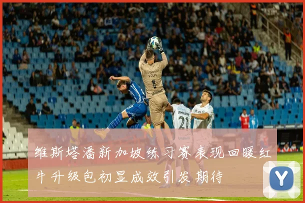 维斯塔潘新加坡练习赛表现回暖红牛升级包初显成效引发期待