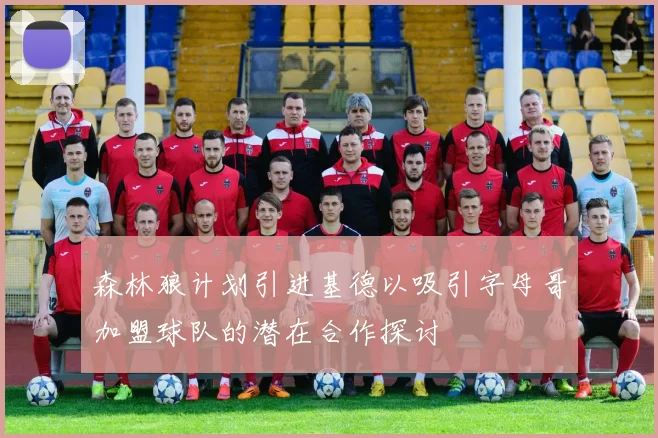森林狼计划引进基德以吸引字母哥加盟球队的潜在合作探讨